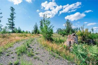 0 Lot 8 S Silver Lake Rd, Castle Rock, WA 98611