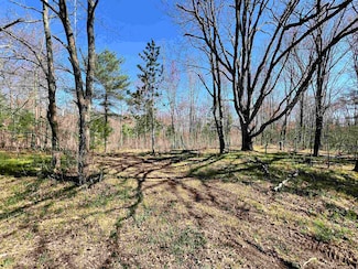 0 Nejedlo Rd, Wausaukee, WI 54177