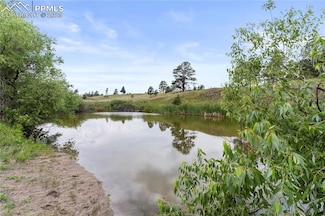 0 E Cherry Creek Rd Unit 2541327, Larkspur, CO 80118