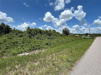 29100 Alfaretta Ave, Punta Gorda, FL 33982