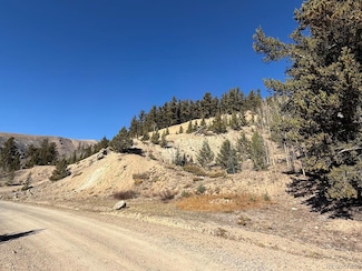 0 County Road 787, Alma, CO 80420