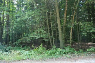 0 Raymond Rd, Auburn, NH 03032