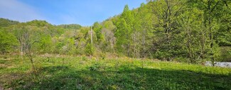 5402 Old Rocklick Rd, Big Rock, VA 24603
