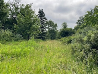 0 Rattle Run Rd Unit LotWP001 20727739, Saint Clair, MI 48079