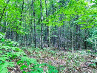 950 Tower Ln, Westmore, VT 05860