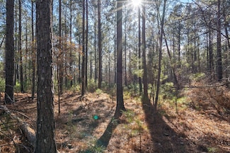 0 Aycock Rd Unit 22730098, Lexington, GA 30648