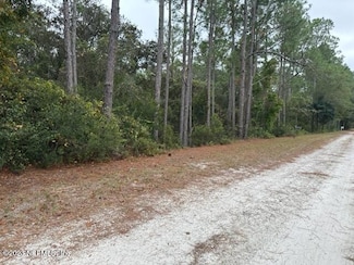 307 Lakeway Dr, Georgetown, FL 32139