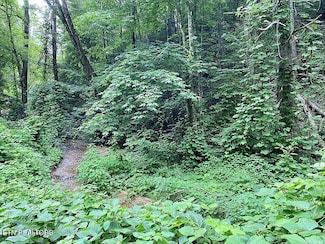 0 Black Walnut Flats Rd Unit 1287398, Sevierville, TN 37862