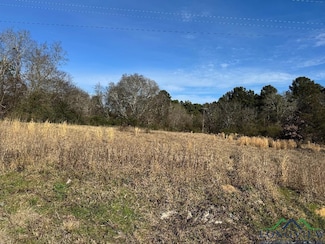 1600 Farm-To-market 1252 W, Gladewater, TX 75647