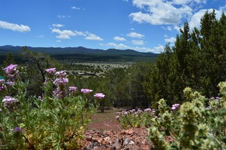 1439 Cr 3140, Vernon, AZ 85940
