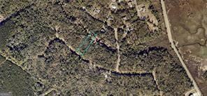 LOT 68 Tar Flower Trail, Waverly, GA 31565