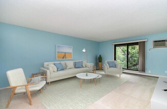 5697 Green Circle Dr Unit 309, Hopkins, MN 55343