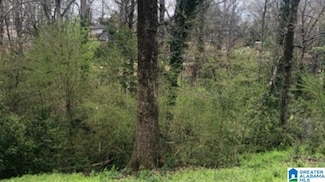 305 Dunbar Ct Unit 15.000, Birmingham, AL 35214