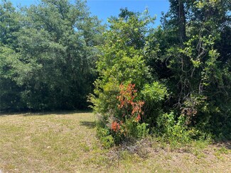 3255 E Gladys St, Inverness, FL 34453
