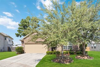 19638 Crystal Ivy Ln, Spring, TX 77388