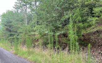 LOT 8 the Preserve at Beach Mountain, Brasstown, NC 28902
