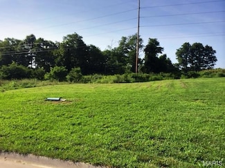 520 Bluff Meadows Dr, Valmeyer, IL 62295