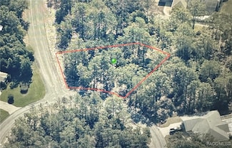 7 Drypetes Ct W, Sugarmill Woods, FL 34446