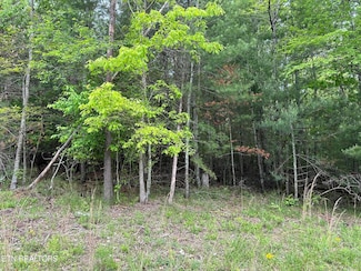 114 Forest Hill Dr, Crossville, TN 38558