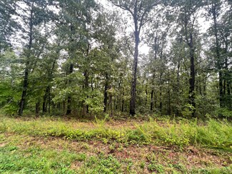 178 Lostinwoods Ln, Cape Fair, MO 65624
