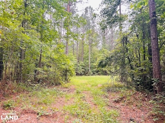 0 County Road 197, Clanton, AL 35046