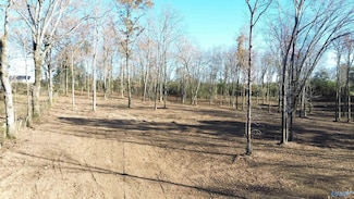 2.71 Columbus City Rd, Grant, AL 35747