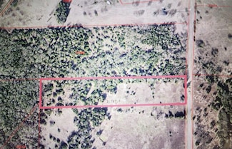 TBD Farm Market 1366, Wortham, TX 76693