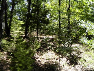 TBD S 605 Place, Copeland, OK 74344