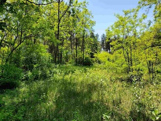 997 Fern Ave, Grand Marsh, WI 53936