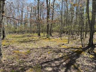 10 Hunters Ridge Rd, Snowshoe, WV 24934