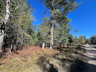 V/L L18-21 Monroe Ave, Grayling Township, MI 49738