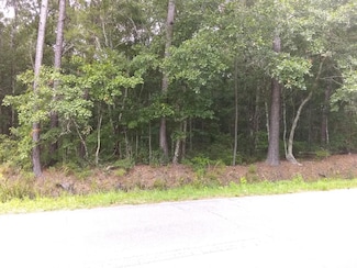 1427 Hamlin Rd, Mount Pleasant, SC 29466