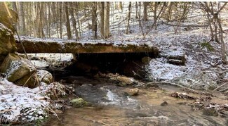 Tbd Pete Creek Rd, Flag Pond, TN 37657
