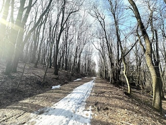 Lot 158 Bluebird Dr, Terra Alta, WV 26764