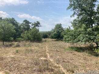 111 Whispering Oaks Dr, Adkins, TX 78101