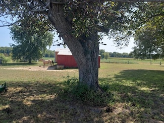 10934 Raccoon Creek Ln, Saint Francisville, IL 62460