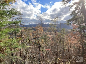Lot 5 Osprey Mountain Way Unit 5, Webster, NC 28779
