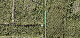 XX Amos Ave, Hastings, FL 32145