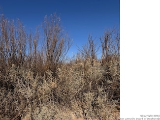 0 Farm To Market Road 170, Presidio, TX 79845