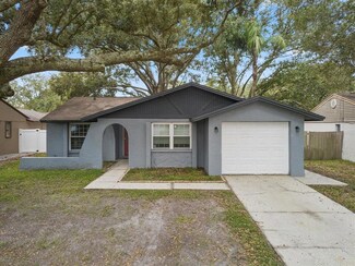 16018 Splitlog Dr, Tampa, FL 33618