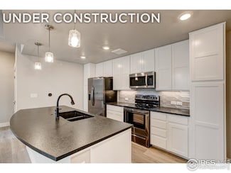 265 High Point Dr Unit 203, Longmont, CO 80504