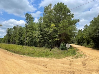 0 Gooch Rd (Lot G) R Rozier Rd (Loth), Eastman, GA 31023