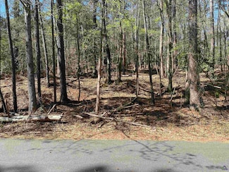 0 Sandra Dr Unit 252106, Gray, GA 31032