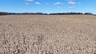 TBD Tamarack Rd, Ransom Township, MI 49271