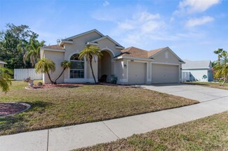 1929 Oswego Dr, Holiday, FL 34691