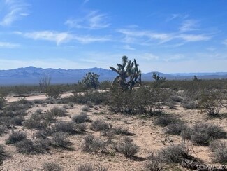 0 E Mesquite Dr Unit 9860, Yucca, AZ 86438