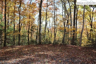 Lot 7 Charlie Warwick Rd, Fleetwood, NC 28626