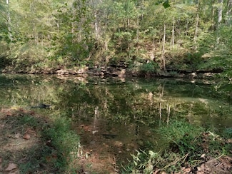 6750 Spencer Rd, Bone Cave, TN 38581