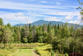 1060 Ripton Rd, Lincoln, VT 05443