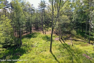 00 Lauren Ct, Woodstock, NY 12498